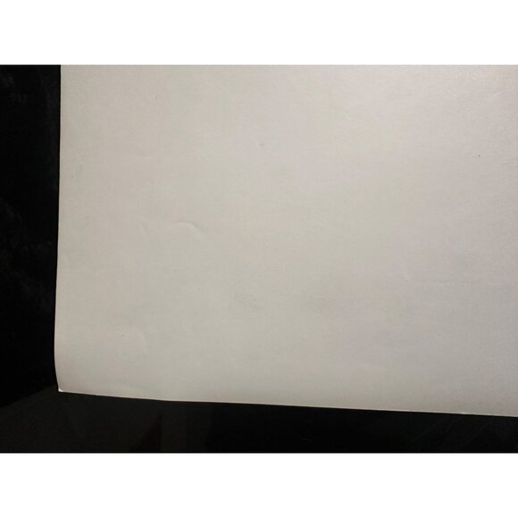 Vintage 1961 Susan Slade Movie Still Connie Stevens Troy Donahue Horse Photo - Picture 13 of 13